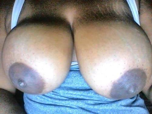 THE BREAST OF BOTH WORLDS