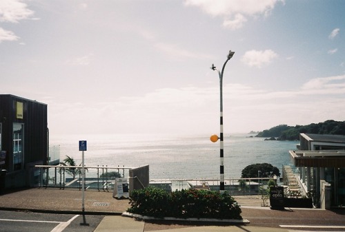 waiheke