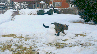 catsbeaversandducks: “Look, a snowman! I must destroy it.”