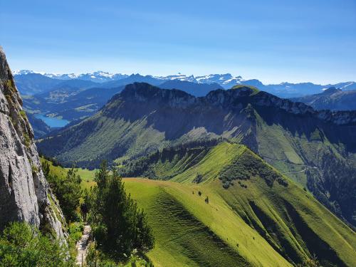 oneshotolive:  The Alps in Switzerland, picture taken from Rochers de Naye mountain [4032 × 3024][OC] 📷: Tomiman94 