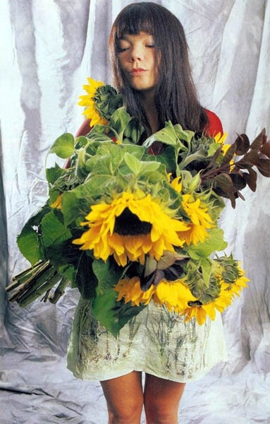 new-dragon:  Björk / Photographe Inconnu / 1996