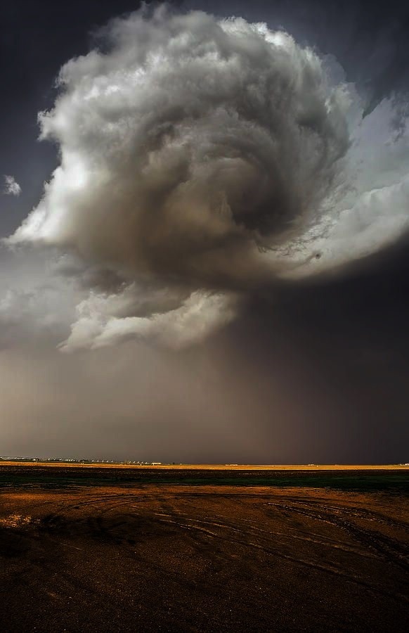 crescentmoon06:    Nebraska Swirl, Developing Tornado by Douglas Berry  