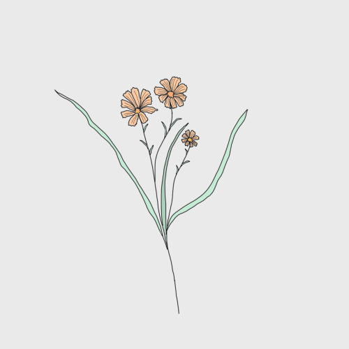 danofthebastille:some wildflowers