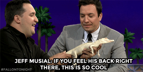 fallontonight:  Jeff Musial loves using animals to scare Jimmy in new ways…