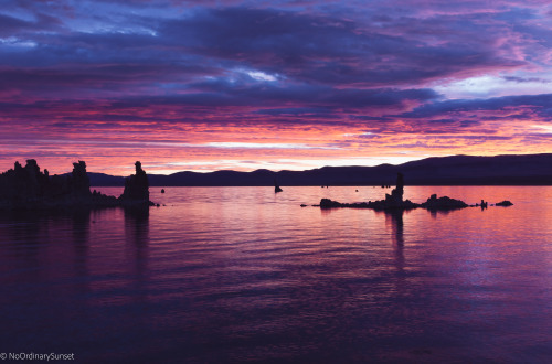 Sunrise at Mono LakeSierra NevadaMono City, California