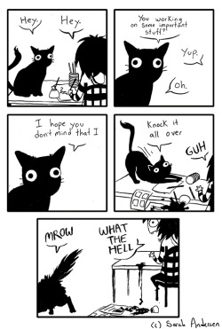 sarahseeandersen:  After living with a cat for most of this year, I’ve wanted to make comics about these mysterious animals and their strange behaviors for quite a while.  I’ve alluded to a cat in a few of my more recent comics, but here he is in