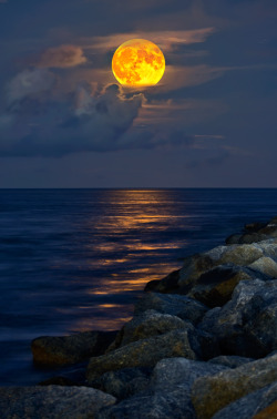 opticallyaroused:  Full Moon Rising 