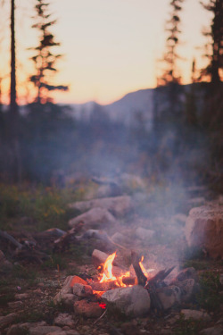 lerobinsnest:  Summer campfire 