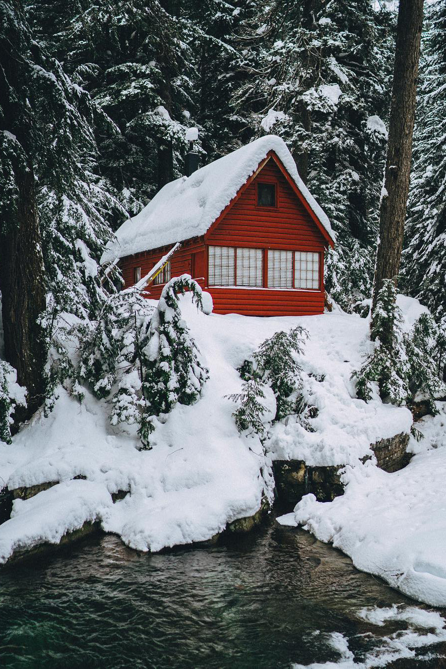 banshy:  Snoqualmie National Forest by: Brian Crippe 