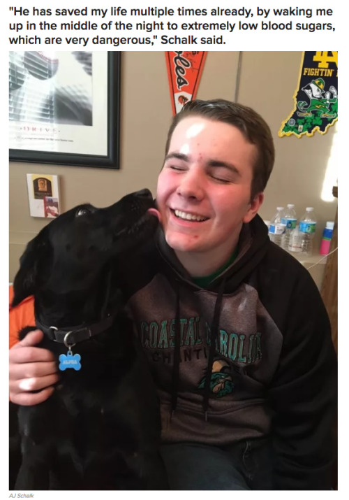 tsutachishio:  timidhedgie: buzzfeed:  A School Included This Teen’s Service Dog In The Yearbook And It’s The Purest Thing  THE WHOLE STORY GUYS   The dog looks so nervous in the school picture