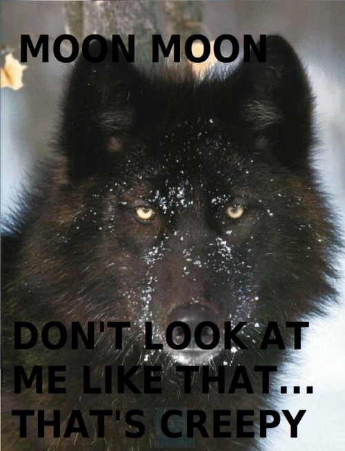 adventurelly:  Moon Moon hunting :D Hope you like it… 