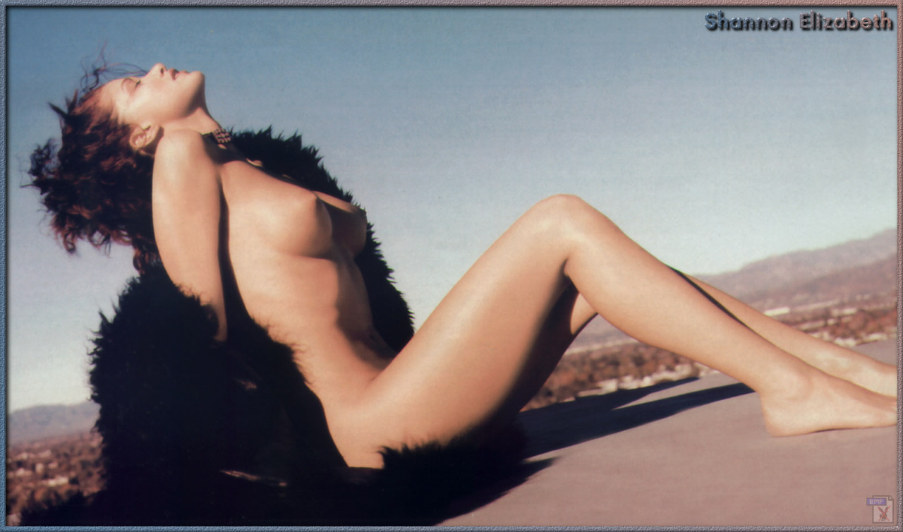 swanswanh-esq:  Shannon Elizabeth