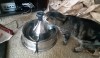 fbwzoo:fbwzoo:Imagine thinking you should toss your cat outside to get hit by a car or eaten by a coyote because there’s justNoPossibleWayToGiveThem EnrichmentInside.Imagine if there was only a way to increase space for your cat inside.There’s
