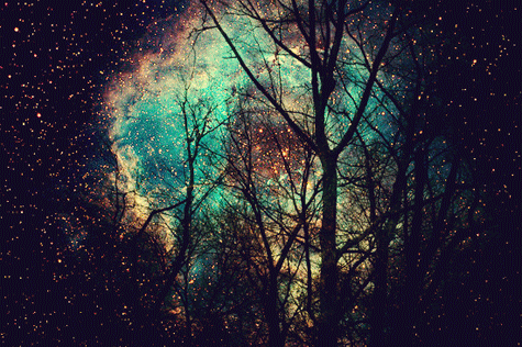 nature-with-love:  Links here   ↓  o(*^1^*)o      o(*^2^*)oo(*^3^*)o    