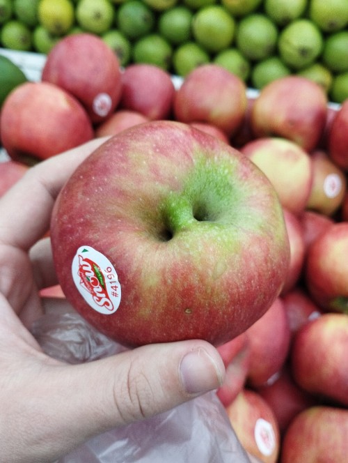 Checkout This Apple With Two Buttholens