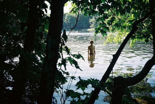 lafleurdesmurailles:   untitled by nivu san on Flickr. 