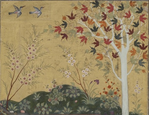 brassmanticore: Tree and birds in autumn (detail from a detached album folio) Bukhara, Uzbekistan, c