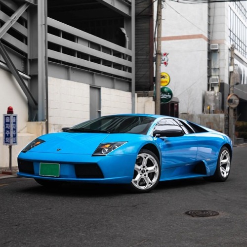 When it comes to rare.. Factory Blue Ely Murcielago  @RoyalCarsMG Official Photographer - #lamborghi