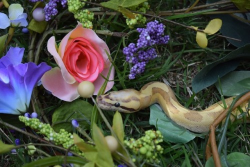 born to and loved by Mother Earth herself