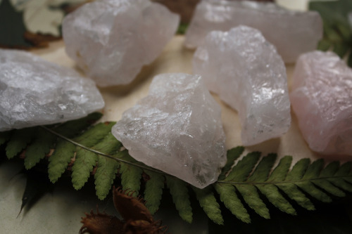 * Small shop update at Sedna 90377 *I added two pyritized ammonite fossils, more rough gemstones and