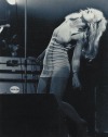 vintage-soleil:Debbie Harry on stage at Le Stadium in Paris, 1978