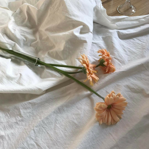 🌺: Remember To Love Yourself Endlessly. If You Don’t, Who Will?