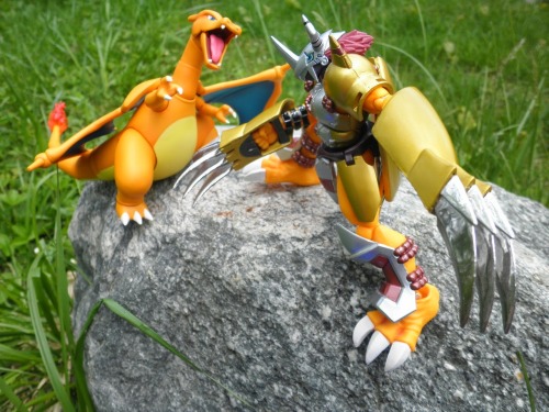 pokemondigmon:  Battle! Charizard V.s Wargreymon
