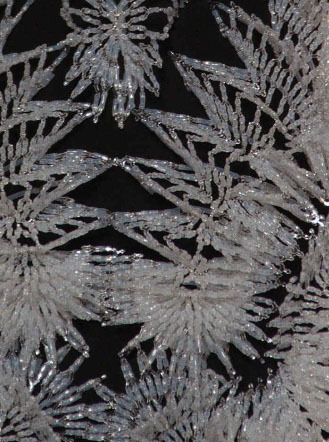 3D embroidery detail on dress. Iris van Herpen, Haute Couture, Spring/Summer 2013.