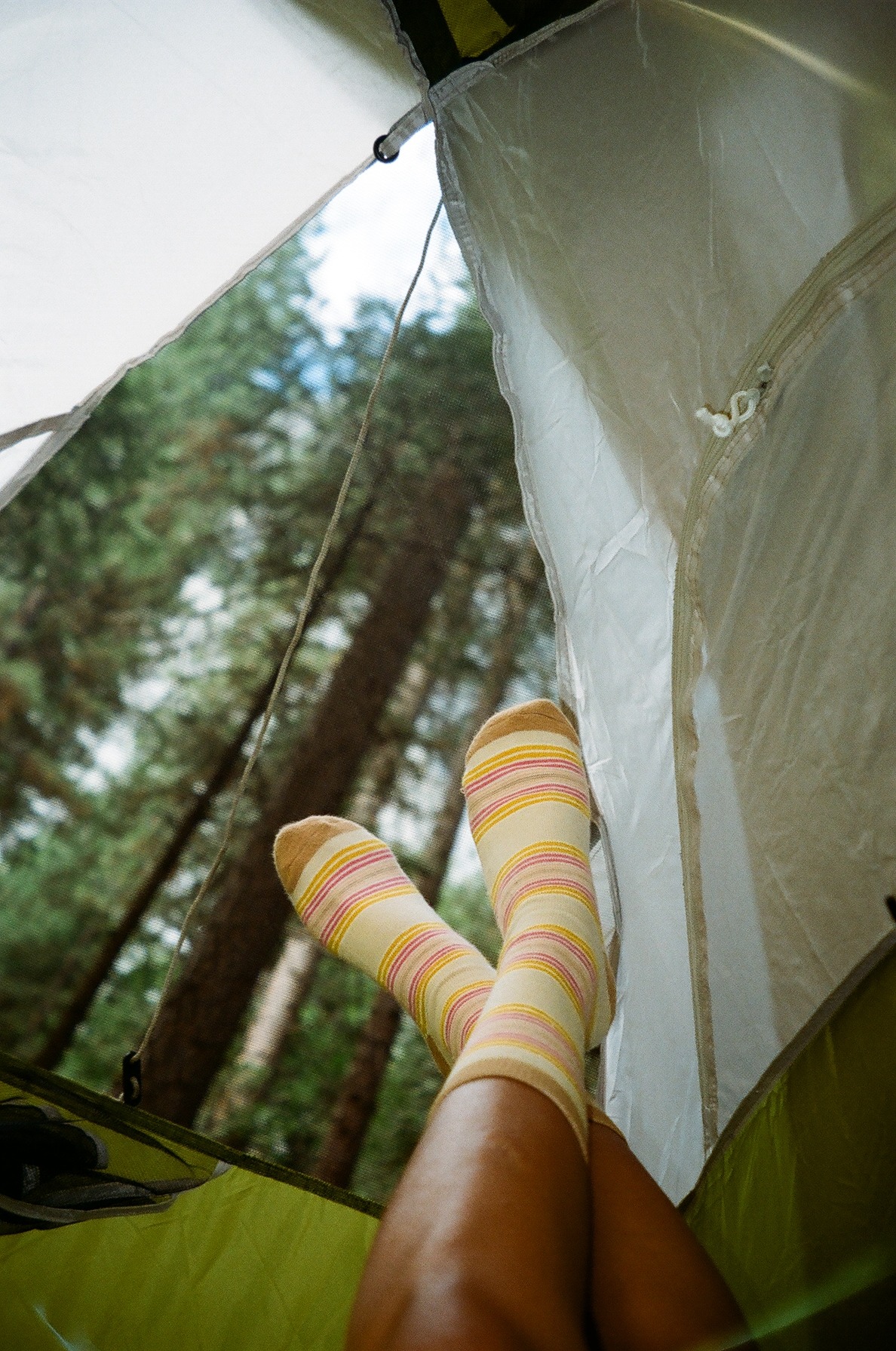 caseykaui:  Yosemite was everything and more than I ever could have dreamed. 35mm