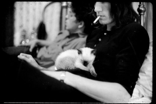 Porn osuki:  A kitten with Roger Waters. photos