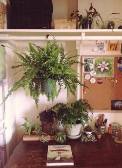 bliss-blueprint:  priphea:  My little corner makes me happy