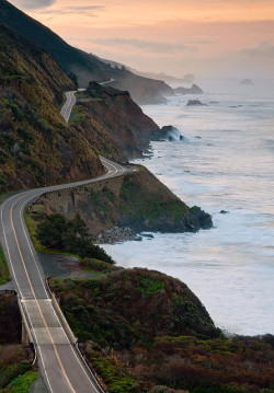 4nimalparty:  Clinging to the cliffside… (by Jeff Swanson) 