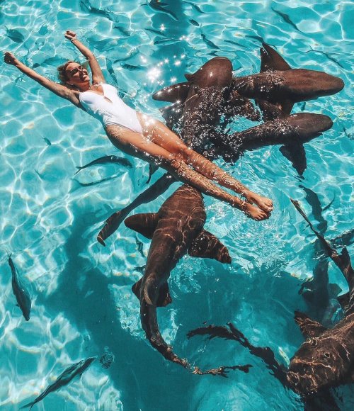 splashofocean: oceancuresall: o c e a n//instagram@vepportilla  Would you?