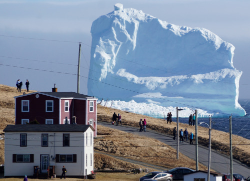 sowhatifiliveinjapan:  Residents view the first iceberg of the season as it passes the South Shore, 