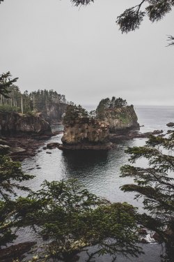 thisnormallife:  Cape Flattery, WA | march