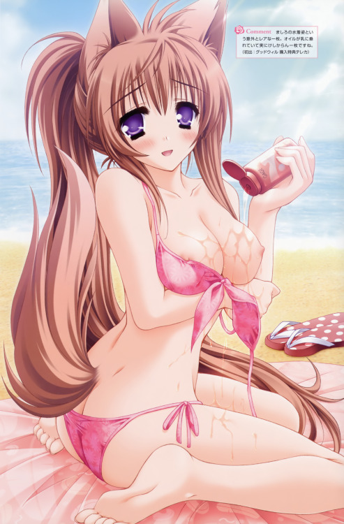 nocatgirlsnsfw:  No Catgirls Here NSFW Artist: Moekibara Fumitake