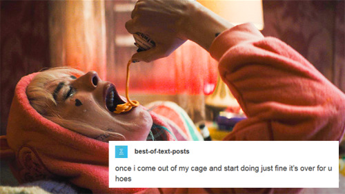 birds of prey + text posts  (harley edition)4/?