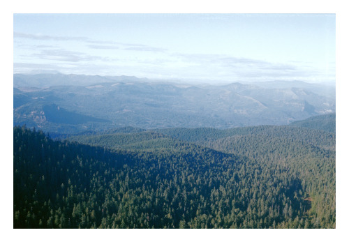 padehler:Western Oregon shot with an old, old camera on 35mm film.