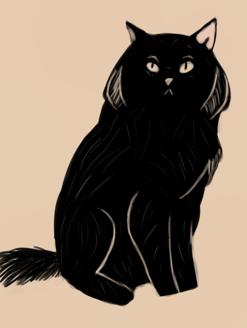 Mouseandcat Daily Drawing Norwegian Forest Cats