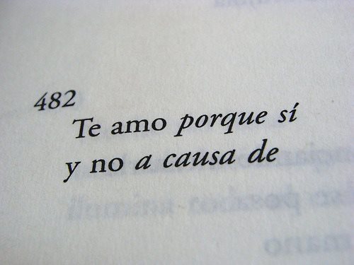 somospandaspordentroyporfuera:  -Una chica invisible.  