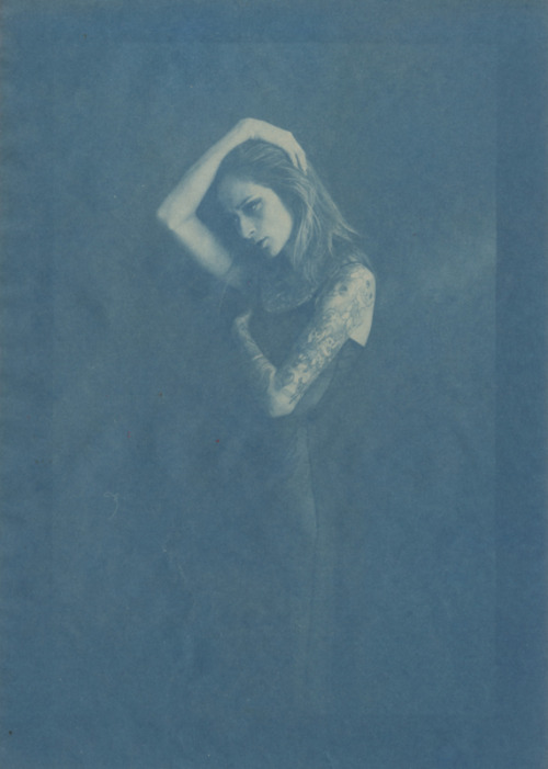 noisenest:  of the earth she loves so dearly ( I ) // theresa manchester // cyanotypes - different toning methods, different toners - all done by brush, dipping, spray, etc 