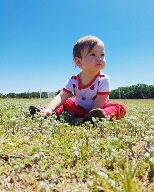 Our chipmunk in the fields of Wimberley. A gorgeous little town. She is #14monthsold Sleeping is sti