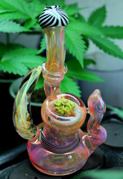 doobiedrewbie:  weed-is-my-fetish:  doobiedrewbie:  This bubbler gives me life. 👅  It’s gorgeous, what’s its name?  Northern Lights! 💕  Glass