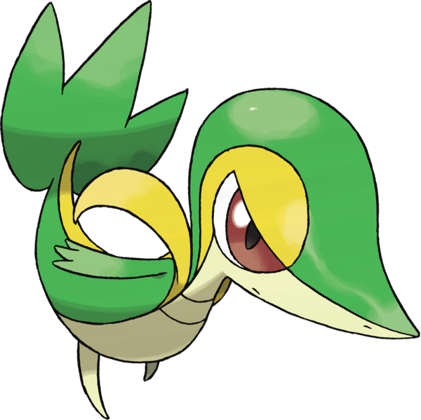 Pokemon Name Resource Verdi Snivy The Plural Form Of Verde Meaning