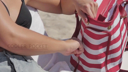 sizvideos:  Dezzio is the most functional beach bag you’ll ever find - Full video 