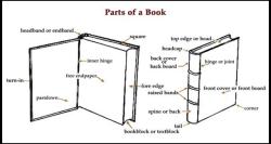mythologyofblue:  The anatomy of the book (via explore-blog)