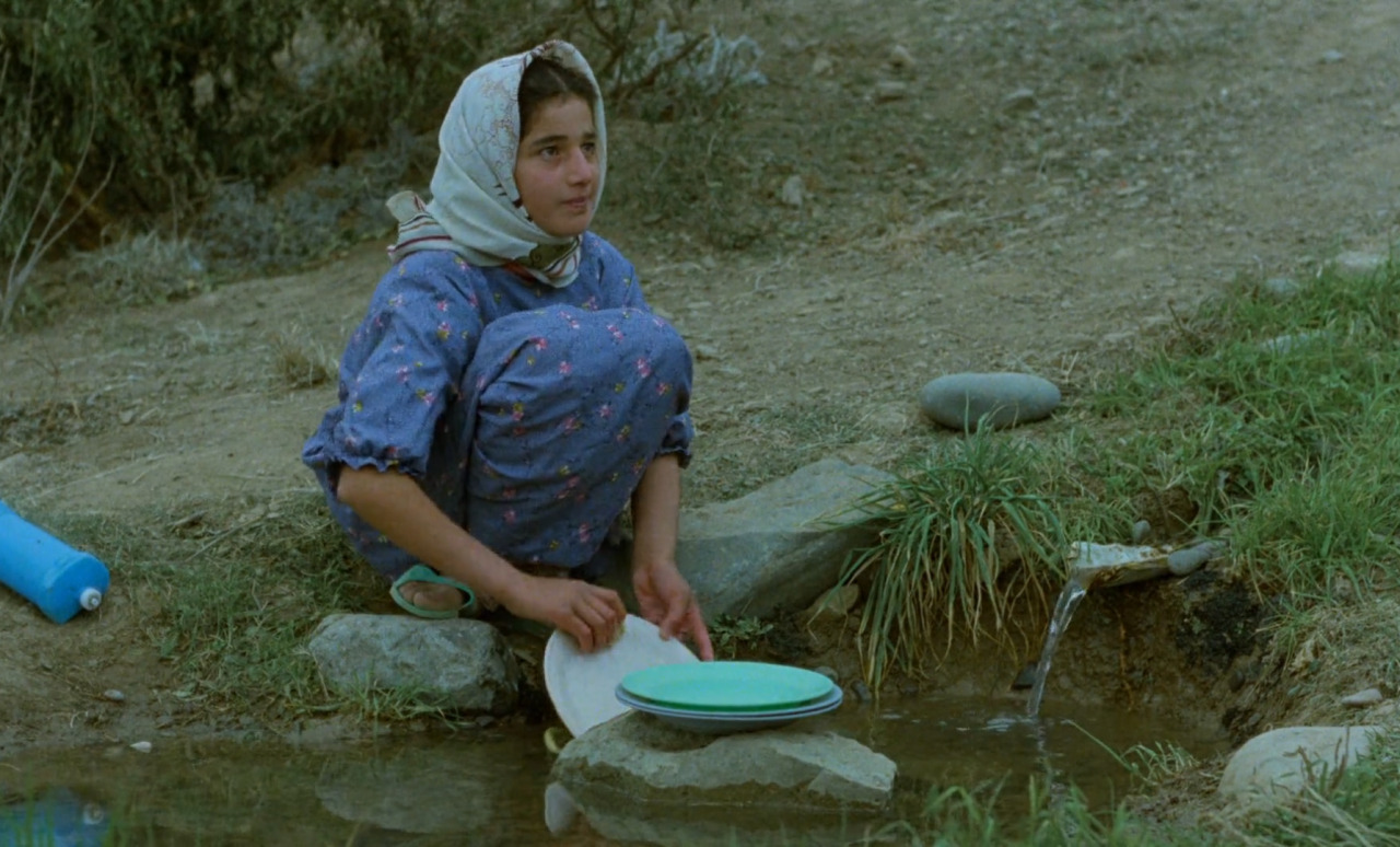 enaasthings:Most people don’t appreciate the value of youth. Not until they arrive at old age. And they don’t appreciate the value of life until death comes to them.Life, and nothing more…./ And life goes on (1992)Dir. Abbas Kiarostami