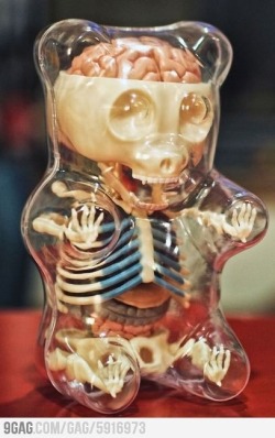 Anatomy of a gummy bear
