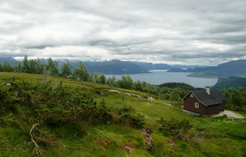 ausloeserin:  hardanger