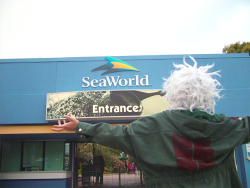 R-Lowen:  Here We Are At Seaworld! 